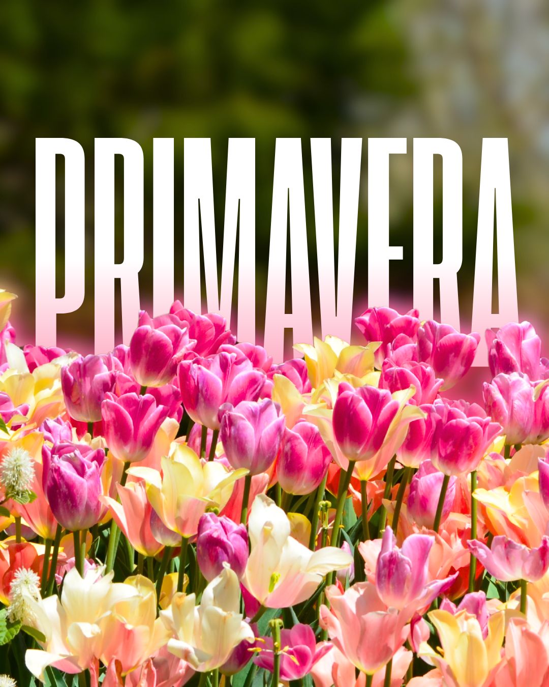 Tendencias en ropa de cama para esta primavera